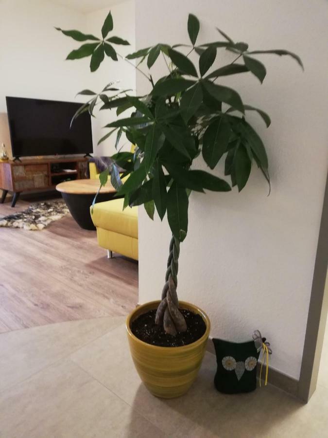 Schmaranzer Apartment บาดอิสชิล ภายนอก รูปภาพ