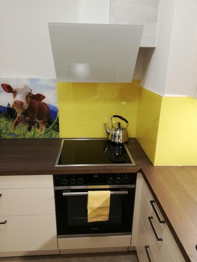 Schmaranzer Apartment บาดอิสชิล ภายนอก รูปภาพ